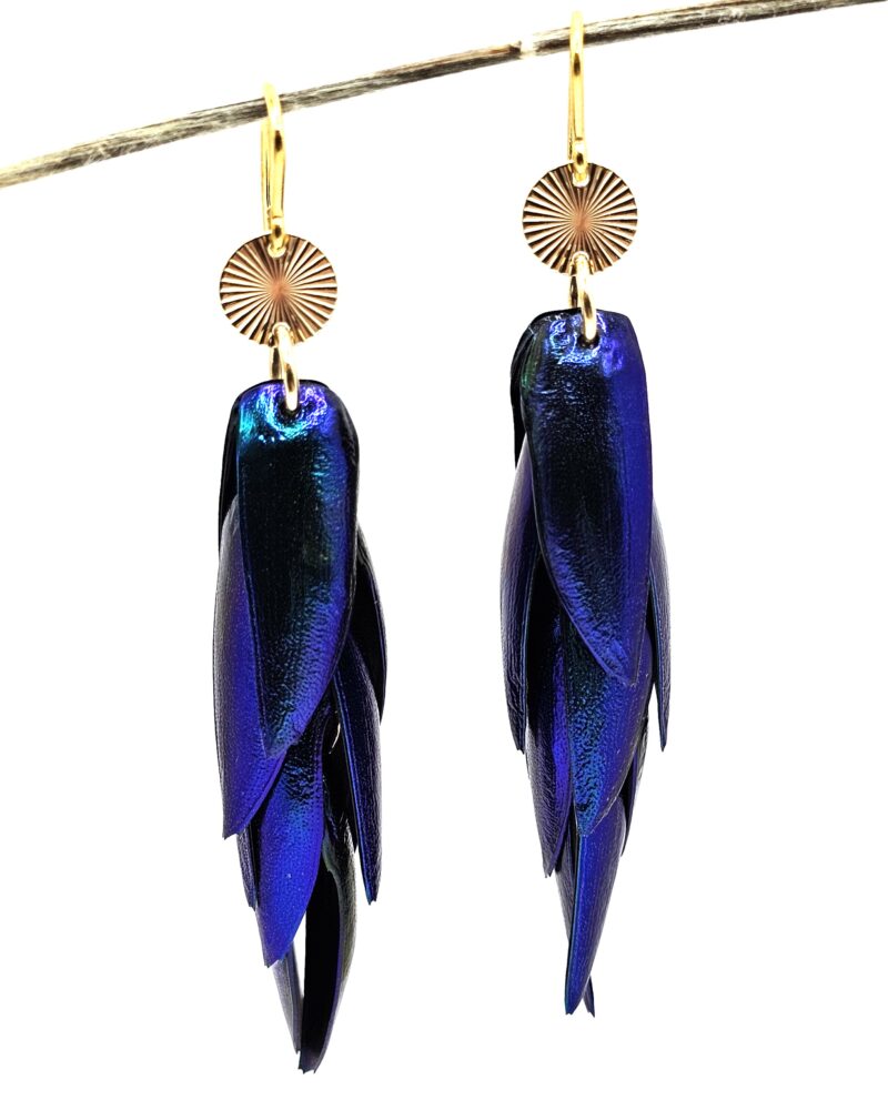 Juwelkäfer Ohrringe Blau-Lila, Ohrhaken und Ornamente aus Sterlingsilber und vergoldet