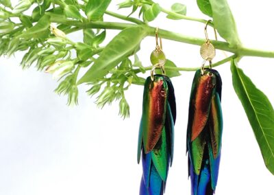 Juwelkäfer Ohrringe in Kupfer, Grün und Blau-Lila, Ohrhaken und Ornamente aus Sterlingsilber und vergoldet