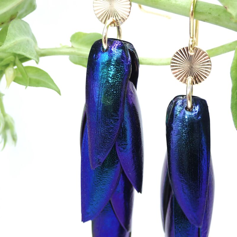 Juwelkäfer Ohrringe Blau-Lila, Ohrhaken und Ornamente aus Sterlingsilber