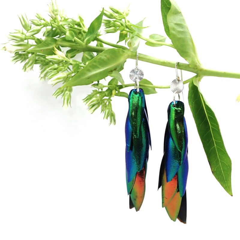 Juwelkäfer Ohrringe in Kupfer, Grün und Blau-Lila, Ohrhaken und Ornamente aus Sterlingsilber